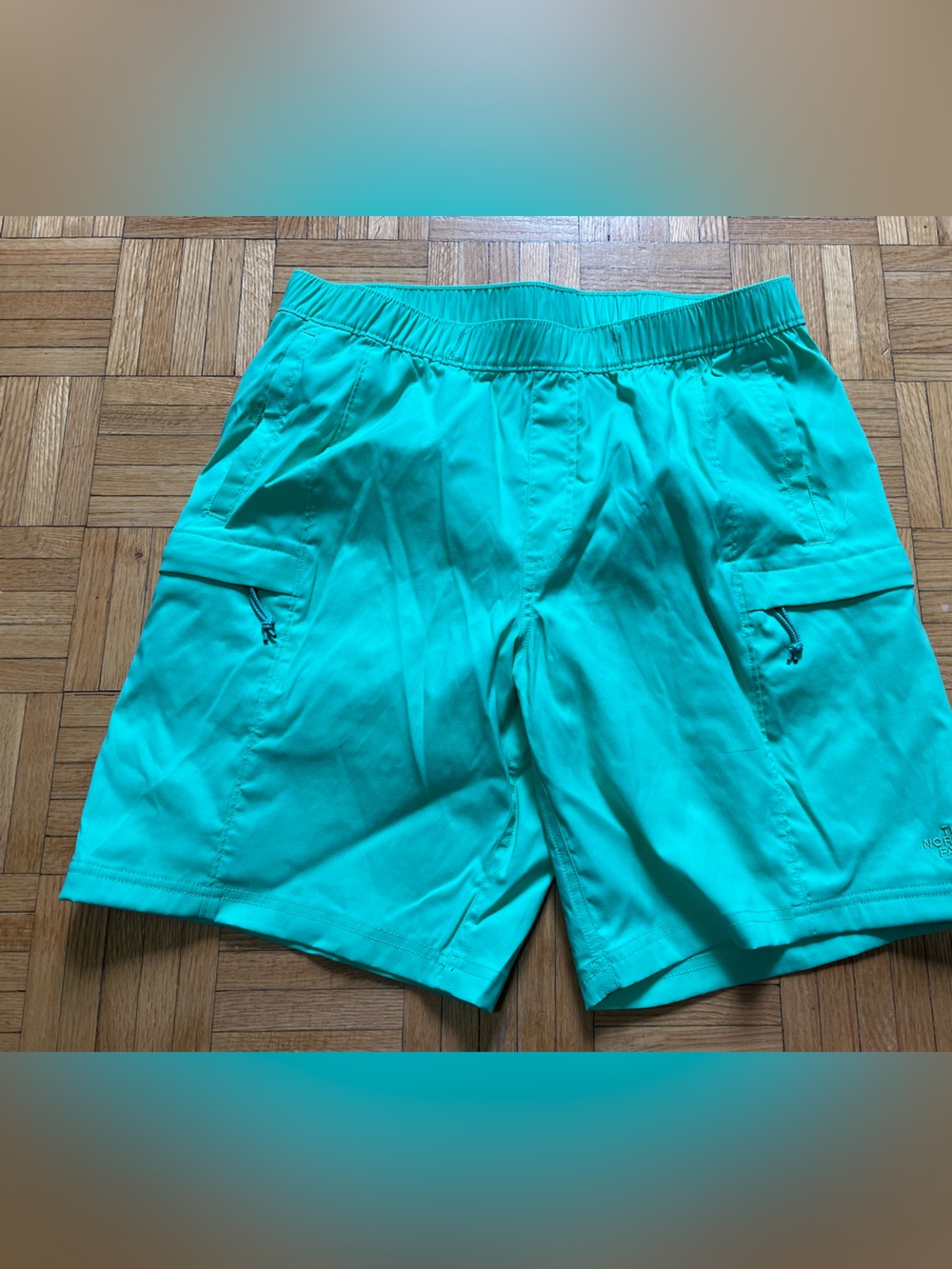 The north face shorts